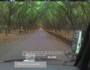 xe tai chiemnghiem 2.jpg