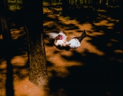 albumanhcuoitaidoiche-7.jpg