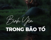 sxzbvcbvc.png