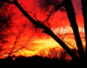 _downloadfiles_wallpapers_1280_1024_red_sunset_wallpaper_landscape_nature_1380.jpg