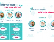 Untitled design (2).png