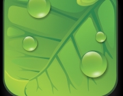 logogreen1.png