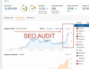 seo audit zim.jpeg