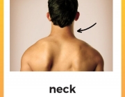 neck-01 (1).jpg