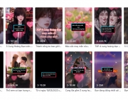 xay-kenh-tiktok.png