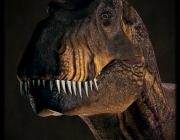 rexy-lights1.jpg