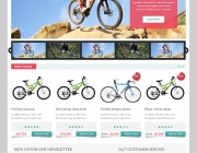 BikeStore.jpg