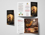Trifold-Brochure.jpg