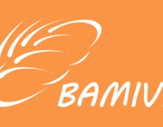 BAMIVI.png