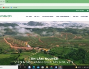 lamnguyen.png