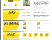 CV.png