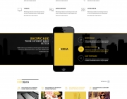 index-02-yellow.jpg
