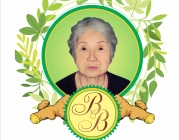logo dpbb.png