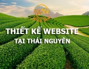 thiet-ke-website-tai-thai-nguyen.png