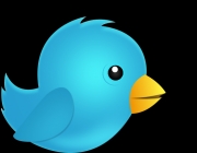 BIRD1.png