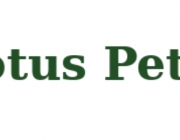 lotuspetal.png