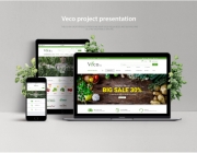 VECO-WEB.jpg