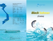 Catalog AnHai.jpg