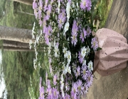 IMG_0088.jpeg