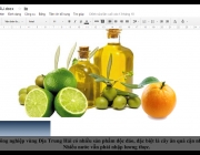 KB KHU VỰC NAM &Acirc;U.docx - Google T&agrave;i liệu.png