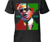 malcom x mockup.jpg