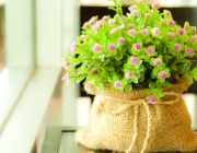 hinh-nen-dep-danh-cho-may-tinh-sieu-cute8.jpg