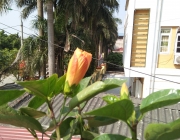 IMG20160206103559.jpg