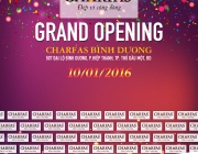 Charfas Binh Duong_Backdrop KT T12016-01.jpg