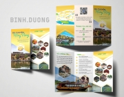 brochure.png