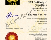 my tefl.png