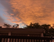 EB6B0F57-2DFF-4512-BEC1-F713E2F2D5FD.jpeg