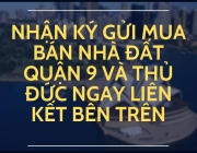 chèn li&ecirc;n k&ecirc;́t ký gửi.png