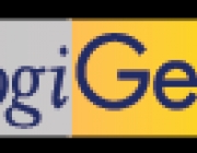 logigear.png