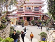 tra cung dinh.jpg