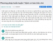 vietdvm-bai-viet.JPG