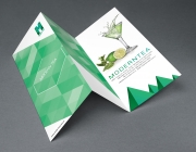 Tri Fold Brochure MockUp.jpg