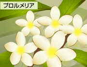 ff6725409a23f462e8d6f787cb2a36b9.jpg