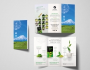 Metabo-Trifold-Brochure.jpg