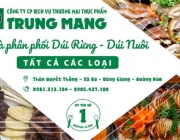 Ảnh b&igrave;a trung mang n&egrave;.png