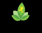 jf_homepage_header_image-01_2.png