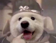 IMG_6170.JPEG