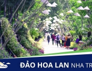 dao-hoa-lan.jpg