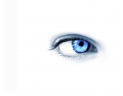 7015534-blue-eye-white-background.jpg