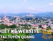 thiet-ke-website-tai-tuyen-quang.png