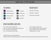 CV232323232.jpg