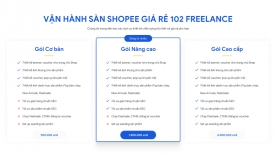 Dịch vụ hỗ trợ vận h&agrave;nh Shop Online (Shopee, Facebook, Tiktok)