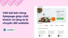 Viết b&agrave;i b&aacute;n h&agrave;ng salepage gi&uacute;p chốt kh&aacute;ch v&agrave; tăng tỷ lệ chuyển đổi cho website