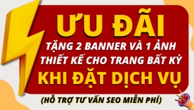 Phủ nội dung cho Website mới  & Hỗ trợ, Tư vấn SEO Onpage chuẩn cơ bản