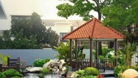 Thiết kế hồ c&aacute; KOI