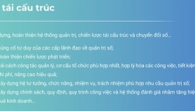 Tư vấn quản trị v&agrave; chuyển đổi số